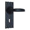 "Eliud" Black Iron Door Handle with Plate 